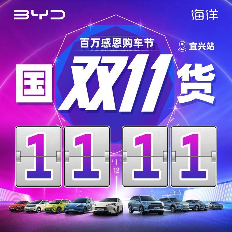 11.11 国货双11 百万感恩购车节宜兴站