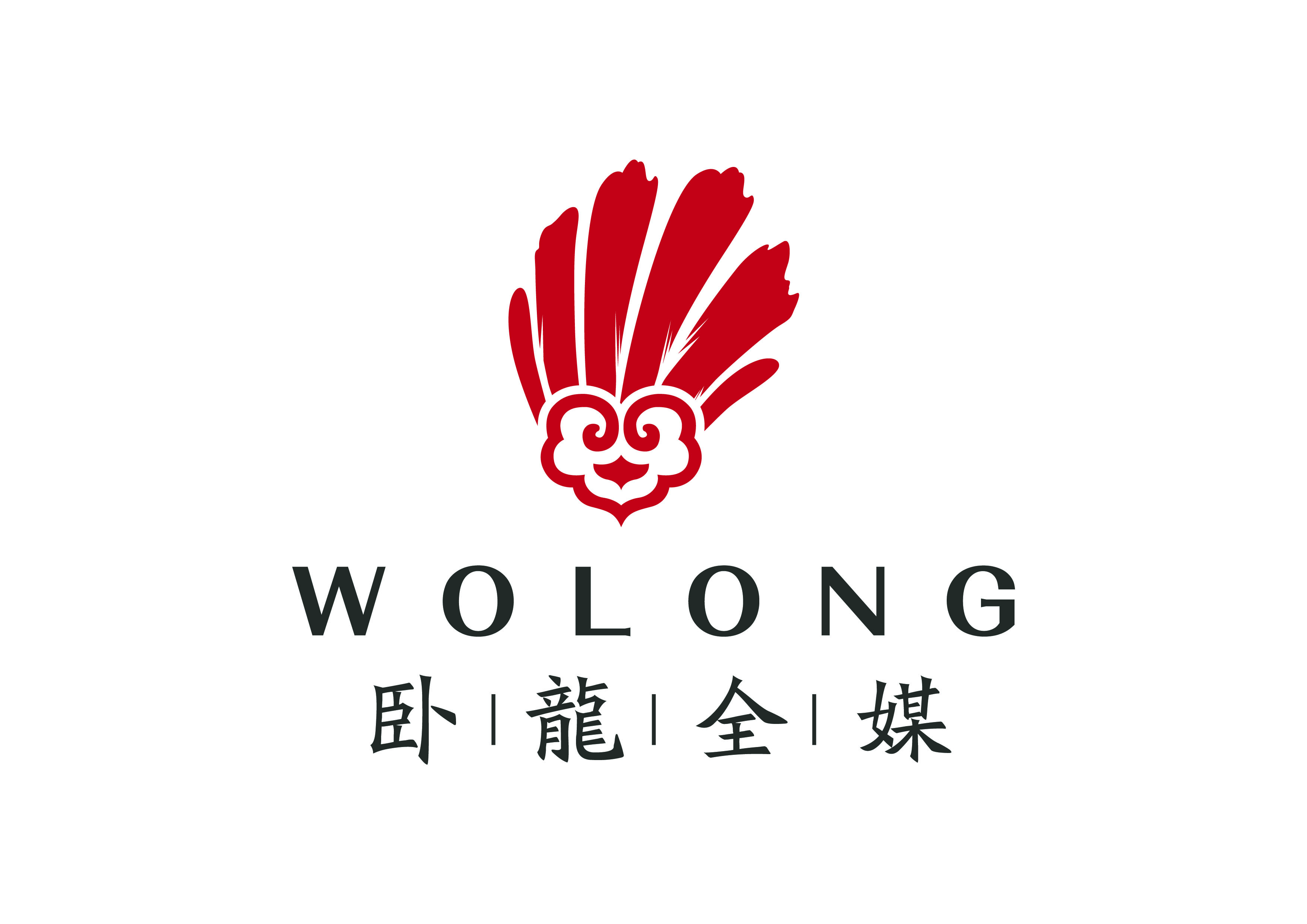 卧龙全媒logo01